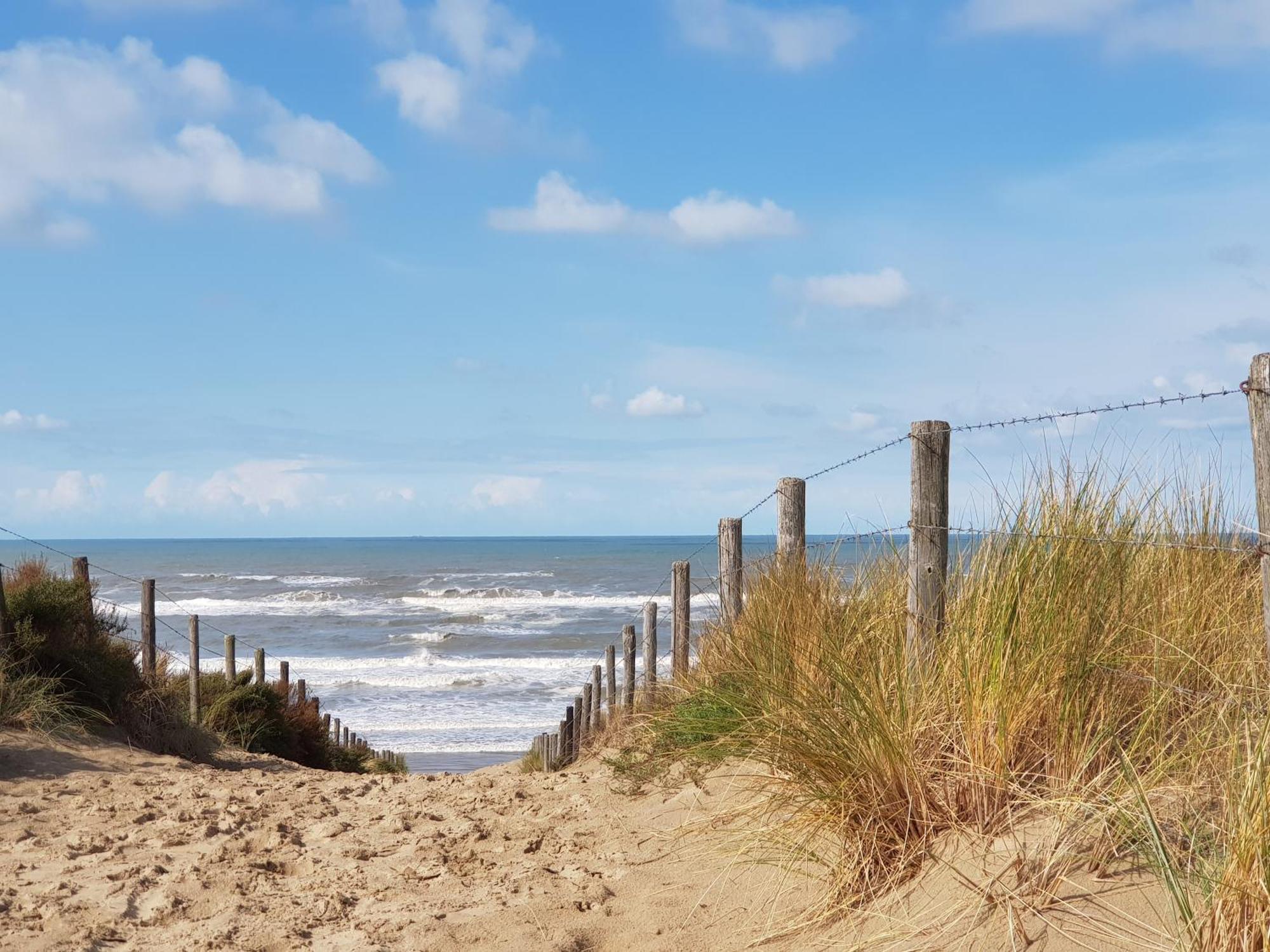 Katwijk aan Zee Hotel B&B Seahorse מראה חיצוני תמונה